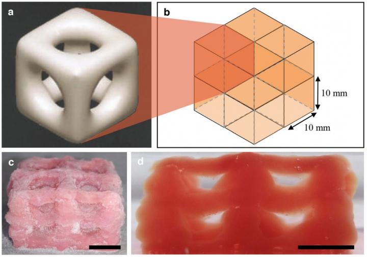 Structure and Printout