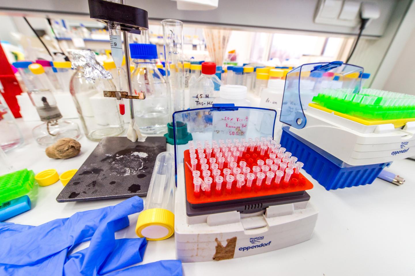 Researchers  developed a decision support system for clinicians