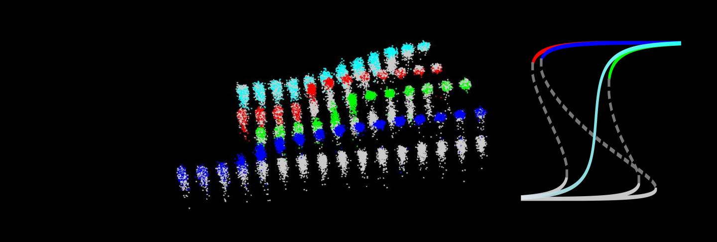 Cells with Protein Pairs and Single Proteins