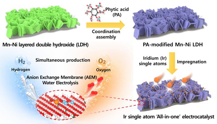 [Figure 1] Schematic illustration of single-atom catalyst synthesis based on atomic-level precision control technology