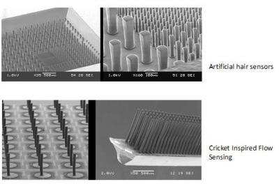 Biologically Driven Design
