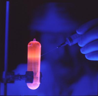 Purified DNA