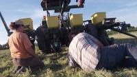 Planting Depth