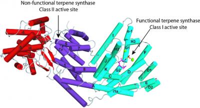 AgBIS 3-D Structure