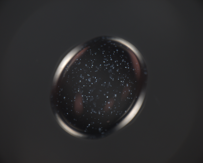 RNA crystals grown on Earth are evaluated under a polarized microscope