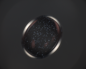 RNA crystals grown on Earth are evaluated under a polarized microscope