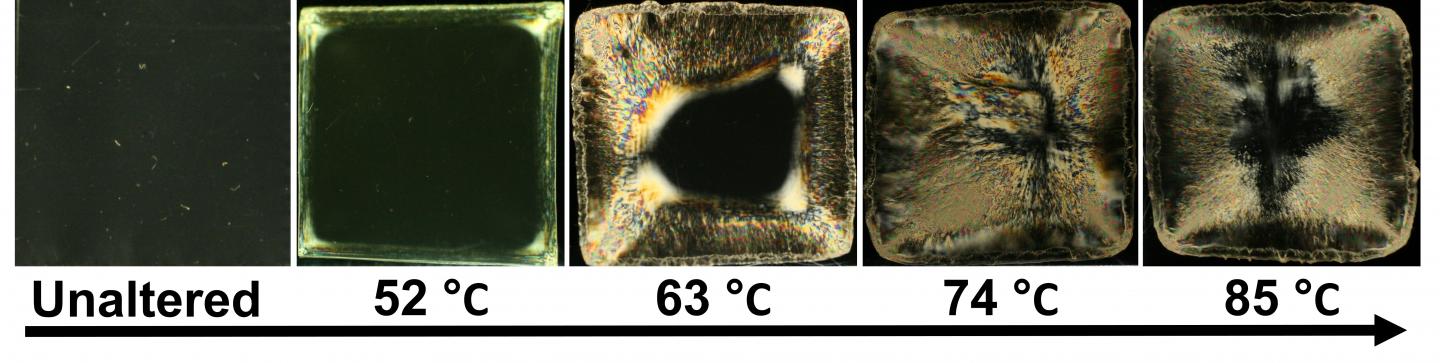 A New Polymer Phase