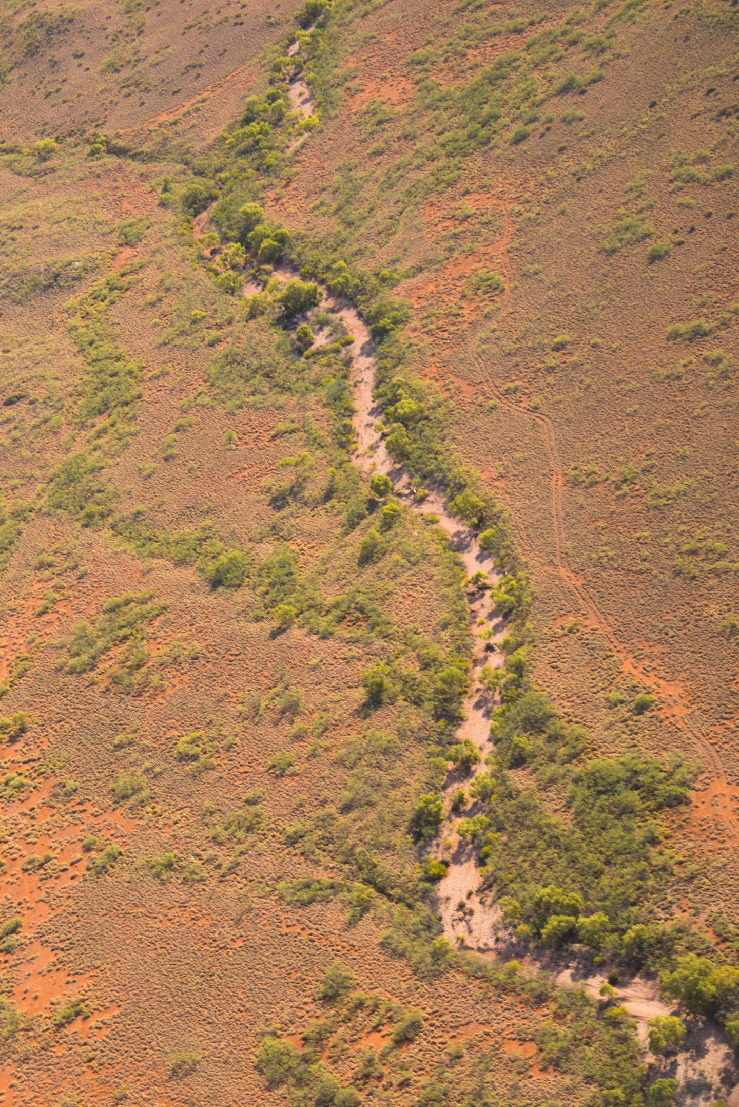 Savannas, Shrub Land Tied to Variation in Carbon Sink (4 of 4)