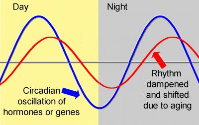 Shifting Rhythms