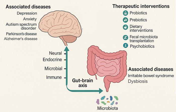 Diseases Modulated by the Microbiota–Gut–Brain Axis and Therapeutic Strategies