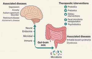 Diseases Modulated by the Microbiota–Gut–Brain Axis and Therapeutic Strategies