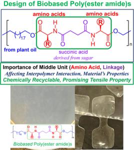 Figure 2. (Top) basic structure of biobased poly(ester amide) developed in this study, consisting of long-chain fatty acids (derived from vegetable oils), amino acids, and succinic acid (derived from sugar).  (Bottom) Prepared biobased poly(ester amide) f