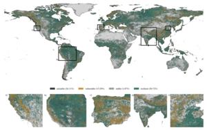 Groundwater recovery regime classification