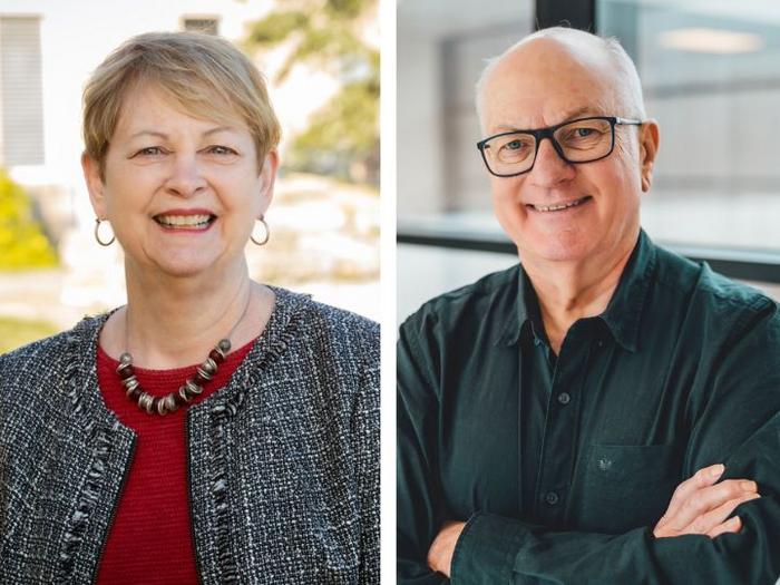 University of Houston NAI Fellows