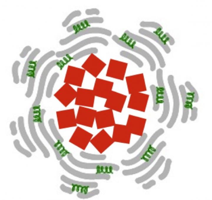 Iron Oxide Nanoparticles