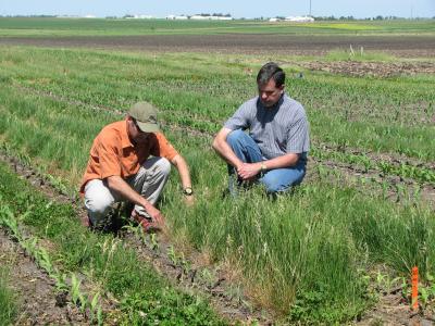 Jeremy Singer, USDA, and Ken Moore, Iowa State University