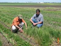 Jeremy Singer, USDA, and Ken Moore, Iowa State University