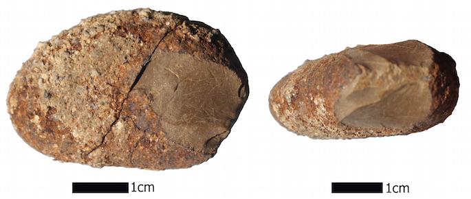 Serpentine Pebble