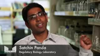 Dr. Panda Interview