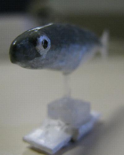 Robofish