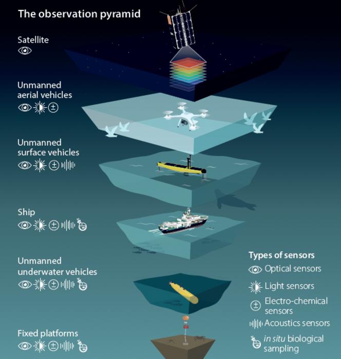 The observational pyramid