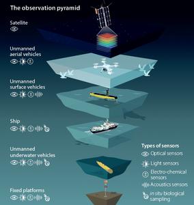 The observational pyramid