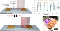 Crumpled Photodetector