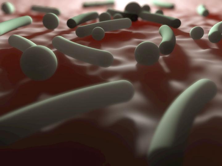 Finding a Less Poopy Solution for Fecal Transplant Regulation