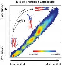 Membrane 3