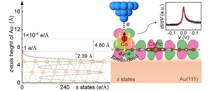 Single Organic Molecule Triggers Kondo Effect in Molecular-Scale“Kondo Box”