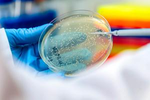 MSK Research