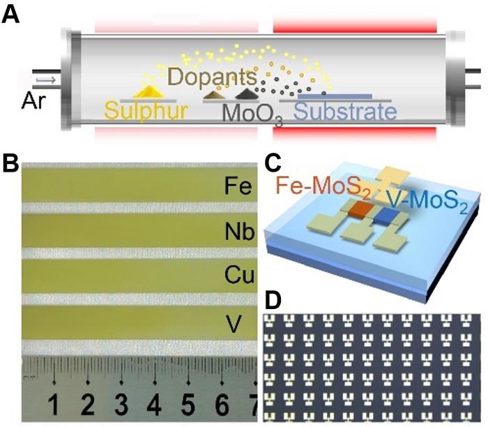 Wafer-scale epitaxial growth, doping, and electronic device applications of MoS2.
