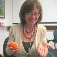 Dr. Dido Green, Tel Aviv University