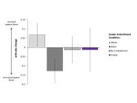 Changes in Implicit Racial Attitudes after Incorporating an Other-Race Body in an Immersive Virtual Reality Setup