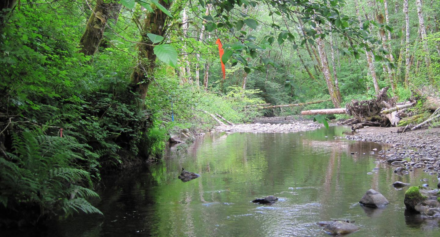 Typical Study Site
