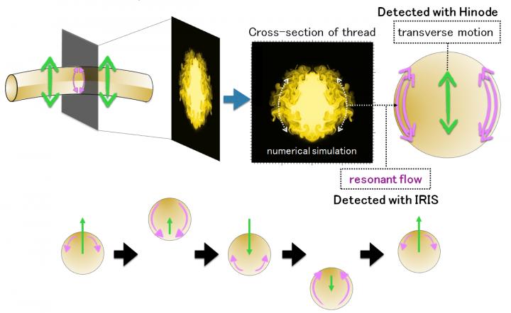 Numerical Simulations and Schematic View of Resonant Absorption