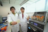 Researchers