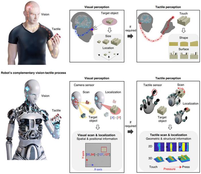 From seeing to feeling: A complementary robotic perception strategy.