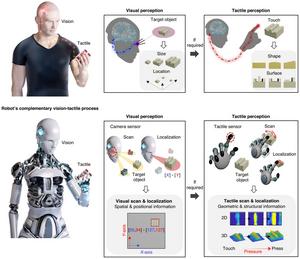 From seeing to feeling: A complementary robotic perception strategy.