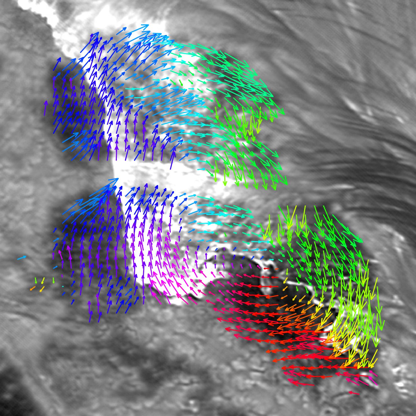 The Sun's Coronal Tail Wags its Photospheric Dog