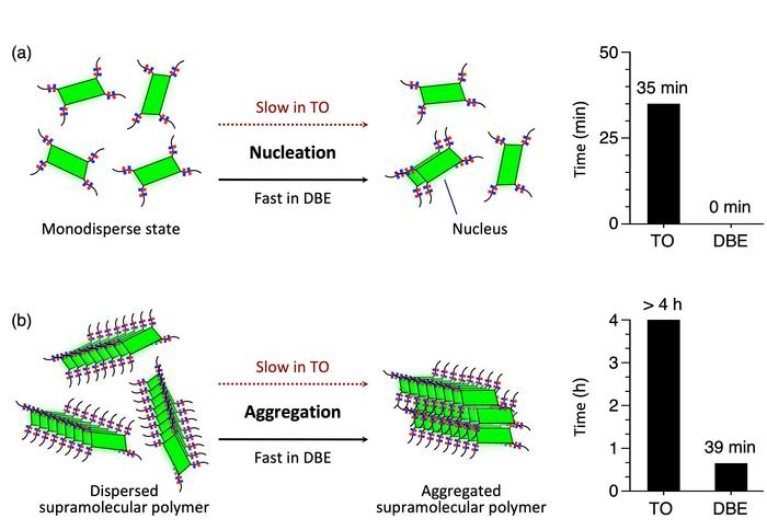 Illustration of monomer self-assembly