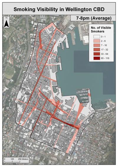 Smoking Visibility in Wellington Central Business District (New Zealand)