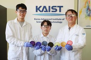 A KAIST team develops the world's first modular co-culture platform for the one-pot production of rainbow-colored bacterial cellulose.​