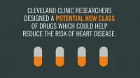 Study Finds Potential New Class of Drugs May Reduce Cardiovascular Risk By Targeting Gut Microbes