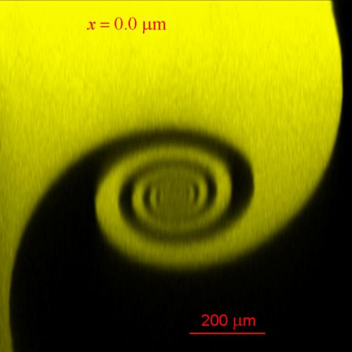 Spiral Vortex