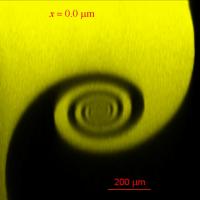 Spiral Vortex