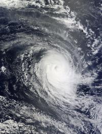 Terra Image of Eunice