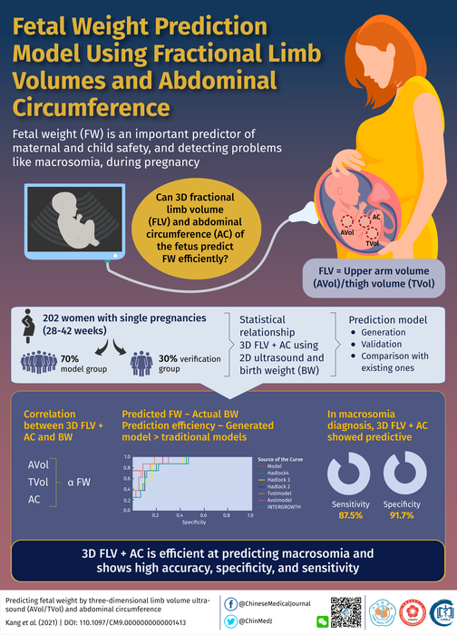 Fetal Weight Prediction Model Using Fractional Limb and Abdominal Circumference