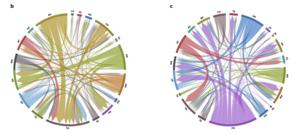 Trade dynamics under nitrogen-surplus minimization