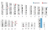 DNA Abnormalities Found in Children with Chronic Kidney Disease